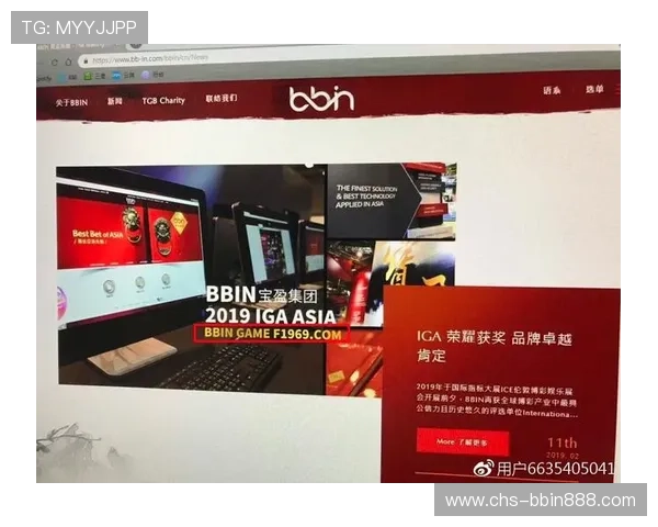 bbin电子游戏高端玩家专属VIP服务介绍与权益说明